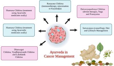 Nano-Drug Delivery Systems Entrapping Natural Bioactive Compounds for Cancer: Recent Progress and Future Challenges